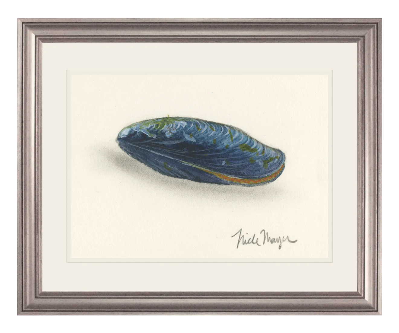 Blue Mussel Print