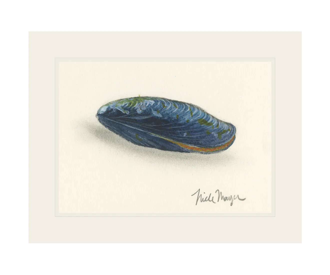 Blue Mussel Print