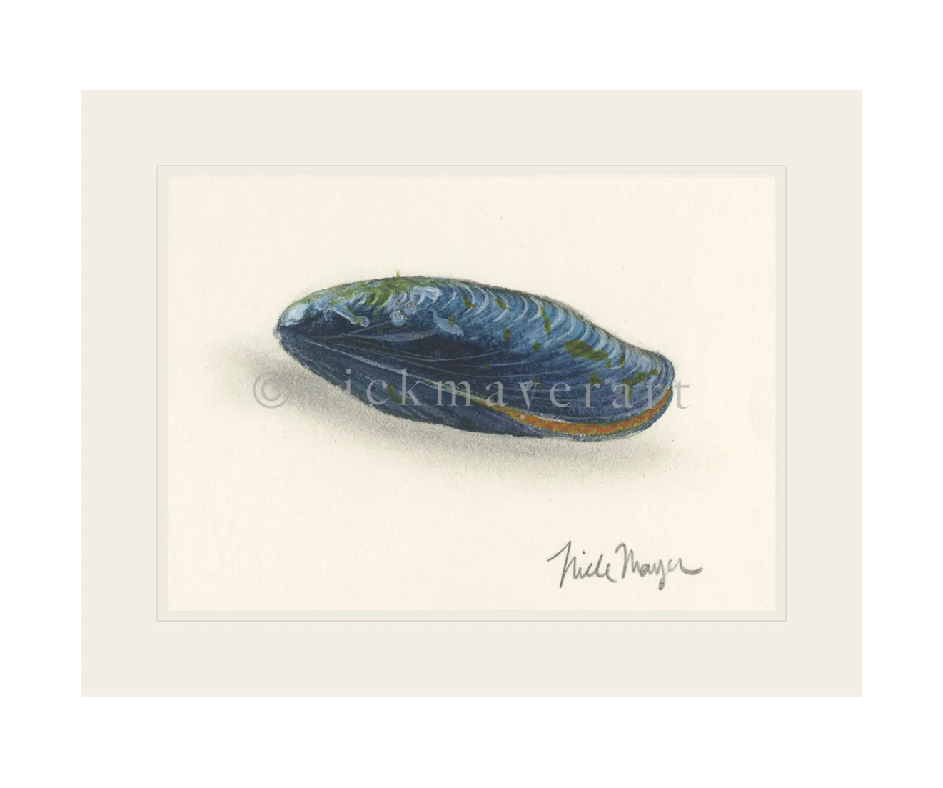 Blue Mussel Print