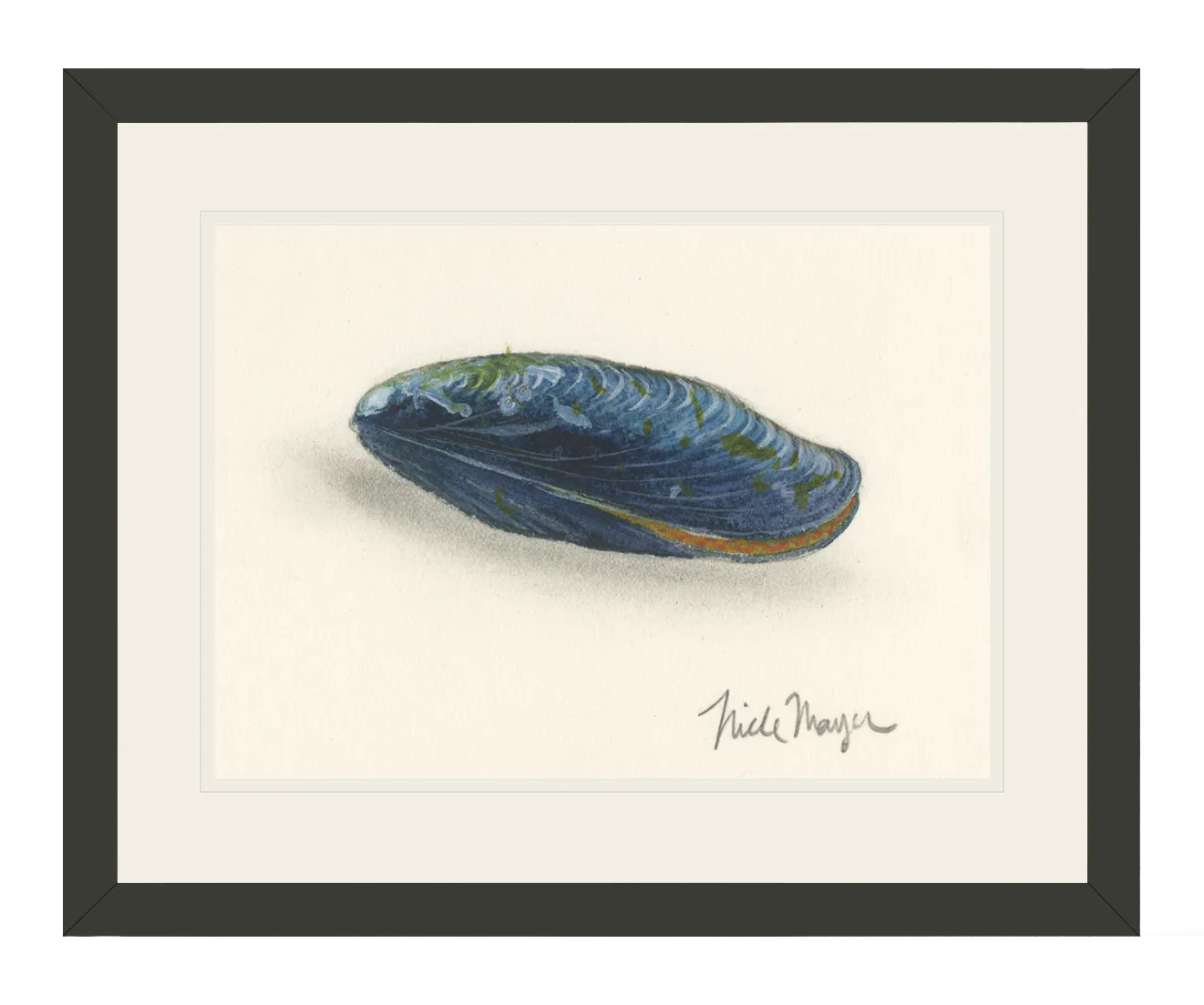 Blue Mussel Print