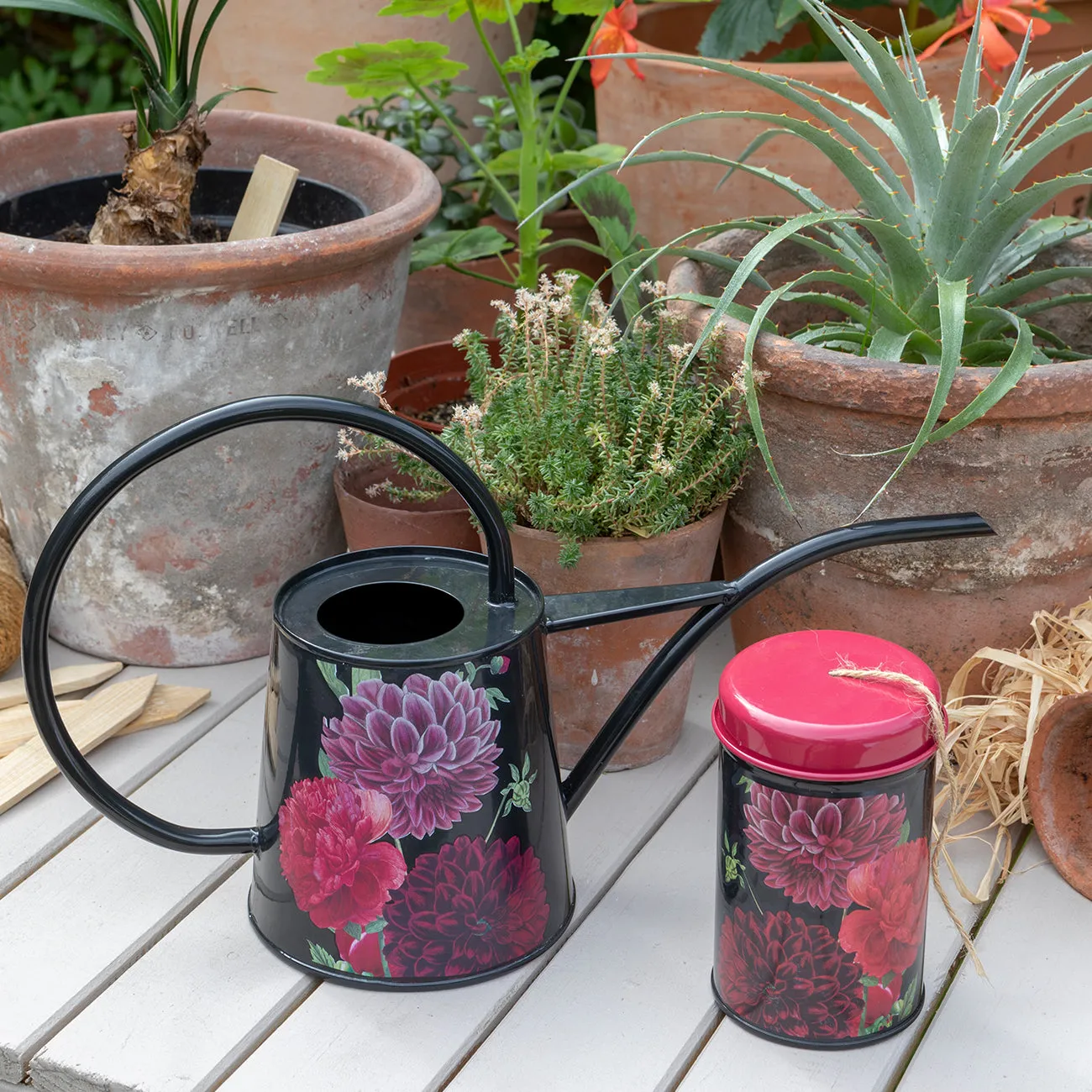 British Bloom Indoor Watering Can