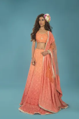 Chikankari Lehenga Set - Lily