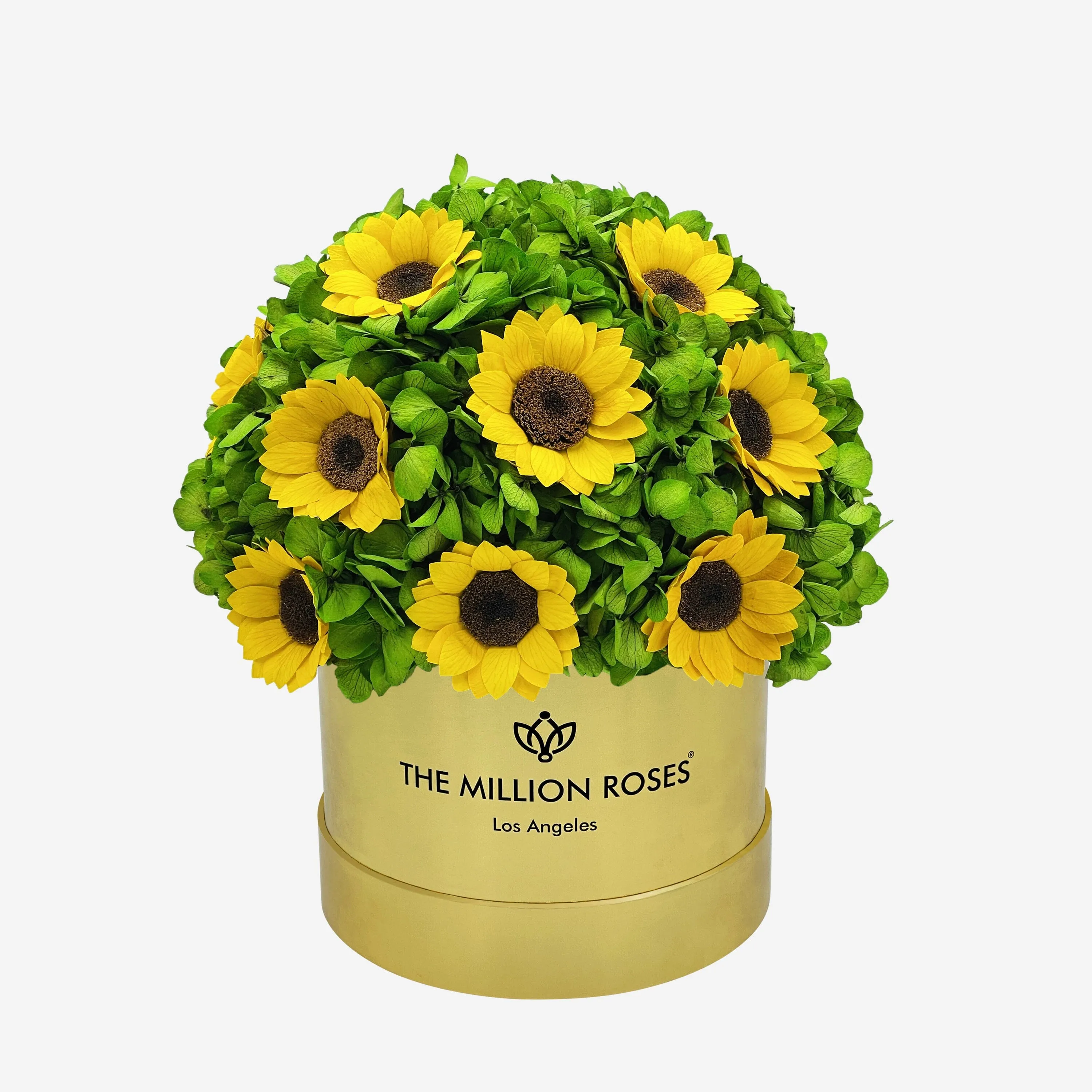 Classic Mirror Gold Box | Green Hydrangeas & Sunflowers