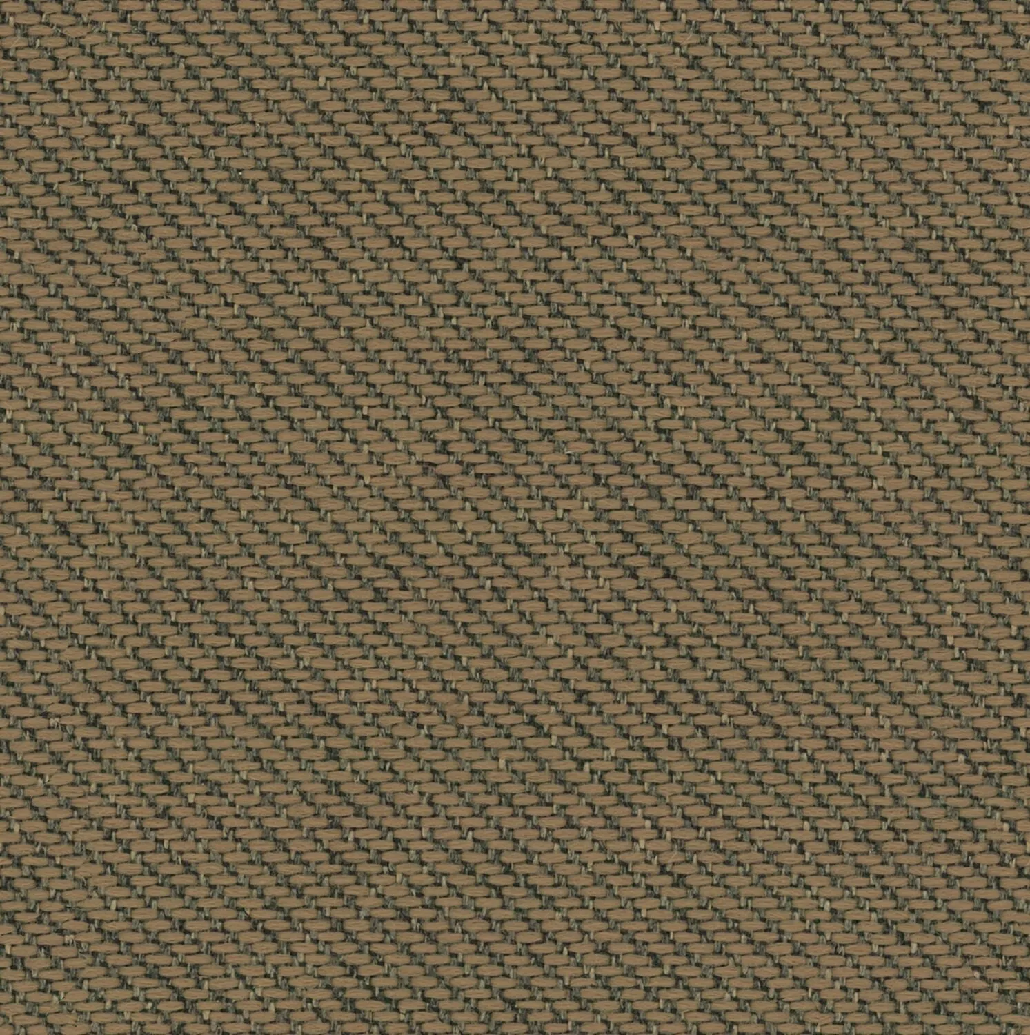 Ecotone - Arid - 4092 - 06